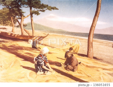 古写真　1953-1954年　静岡　三保の松原から望む富士山 136051655