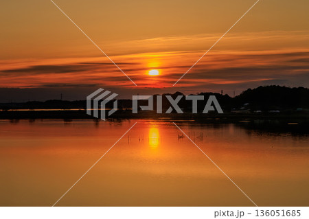 紅く染まった手賀沼の美しい夜明け 136051685