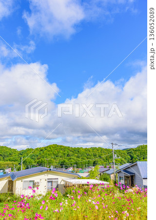 北海道で一番小さな町 136052089