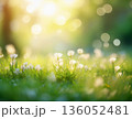 春のやわらかな光を感じるボケ背景素材 136052481