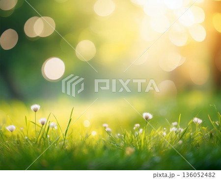 春のやわらかな光を感じるボケ背景素材 春のやわらかな光を感じるボケ背景素材 136052482