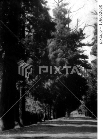 古写真　1953-1954年　日光杉並木 136052650