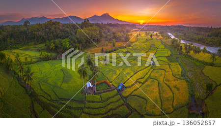Beautiful morning view in Indonesia, panoramic landscape of rice fields with mountain ranges and clear sky 136052857