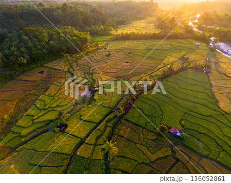 Beautiful morning view in Indonesia, panoramic landscape of rice fields with mountain ranges and clear sky 136052861