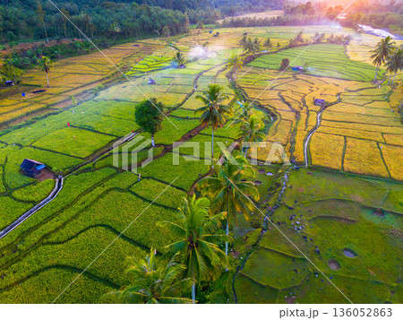 Beautiful morning view in Indonesia, panoramic landscape of rice fields with mountain ranges and clear sky 136052863
