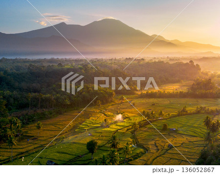 Beautiful morning view in Indonesia, panoramic landscape of rice fields with mountain ranges and clear sky 136052867