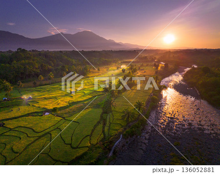 Beautiful morning view in Indonesia, panoramic landscape of rice fields with mountain ranges and clear sky 136052881