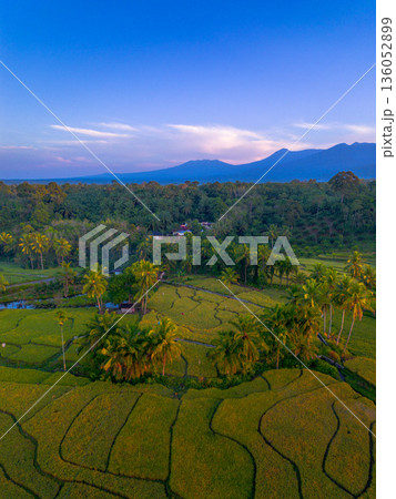 Beautiful morning view in Indonesia, panoramic landscape of rice fields with mountain ranges and clear sky Beautiful morning view in Indonesia, panoramic landscape of rice fields with mountain ranges and clear sky 136052899