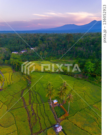 Beautiful morning view in Indonesia, panoramic landscape of rice fields with mountain ranges and clear sky 136052913