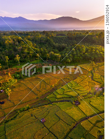 Beautiful morning view in Indonesia, panoramic landscape of rice fields with mountain ranges and clear sky Beautiful morning view in Indonesia, panoramic landscape of rice fields with mountain ranges and clear sky 136052914