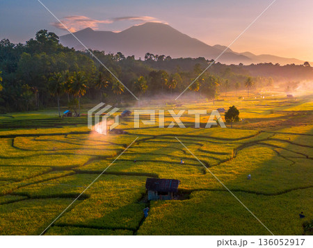 Beautiful morning view in Indonesia, panoramic landscape of rice fields with mountain ranges and clear sky 136052917