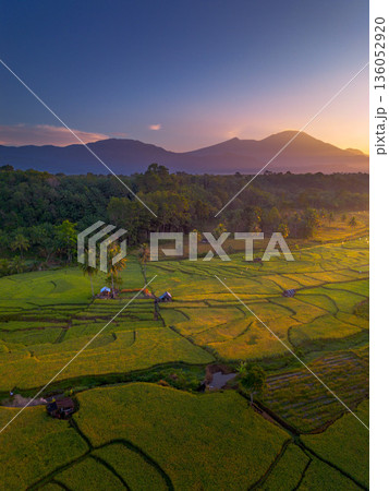 Beautiful morning view in Indonesia, panoramic landscape of rice fields with mountain ranges and clear sky 136052920