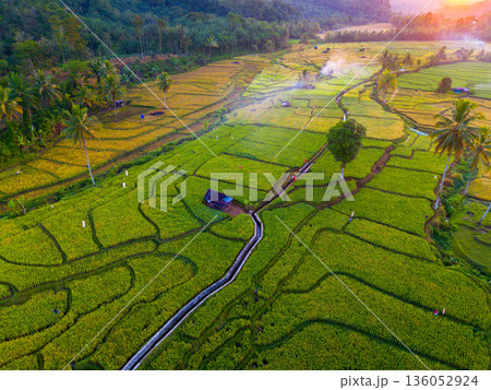 Beautiful morning view in Indonesia, panoramic landscape of rice fields with mountain ranges and clear sky Beautiful morning view in Indonesia, panoramic landscape of rice fields with mountain ranges and clear sky 136052924