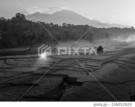 Beautiful morning view in Indonesia, panoramic landscape of rice fields with mountain ranges and clear sky 136052929