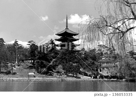 古写真　1958年　奈良公園の猿沢池と興福寺五重塔 136053335