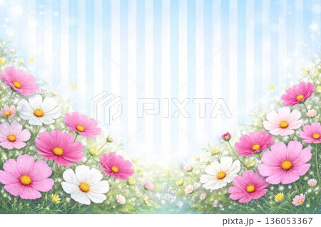 やさしく咲くコスモスのストライプ背景 136053367