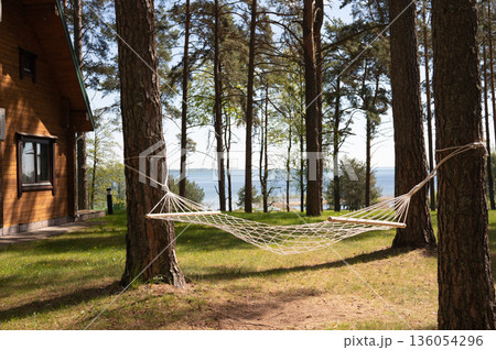 Tranquil forest retreat with hammock by a scenic lake. National Hammock Day Tranquil forest retreat with hammock by a scenic lake. National Hammock Day 136054296