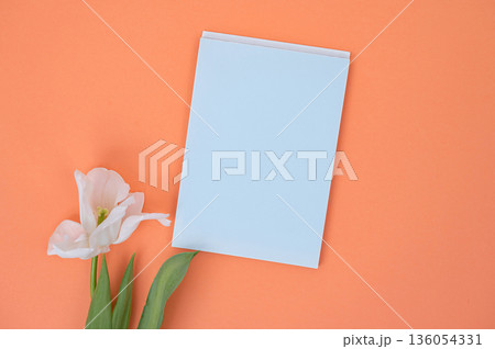 Minimalist white flower with blank card on orange background 136054331
