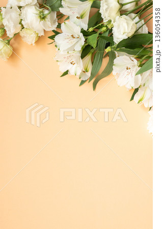 Elegant white flowers on peach background with green leaves Elegant white flowers on peach background with green leaves 136054358