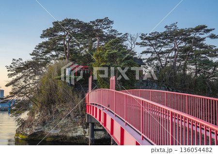 赤い橋と松林に包まれる籬島 曲木神社の朝景 136054482