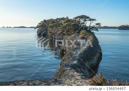 松島 馬の背 静かな海に伸びる岩の稜線 136054487