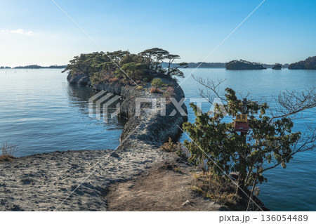 松島 馬の背 岩の細道と穏やかな青い海 136054489