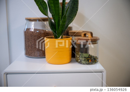 Minimal kitchen decor with potted plant and glass jars on white shelf Minimal kitchen decor with potted plant and glass jars on white shelf 136054926
