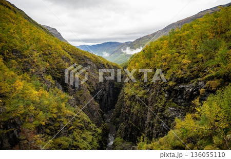 Autumn canyon gorge with river between green yellow mountains in Norway Autumn canyon gorge with river between green yellow mountains in Norway 136055110