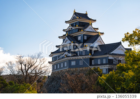岡山市 青空にそびえる漆黒の「岡山城（烏城）」天守閣 136055339