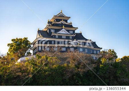 岡山市 青空にそびえる漆黒の「岡山城（烏城）」天守閣 136055344