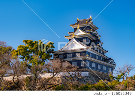岡山市 青空にそびえる漆黒の「岡山城（烏城）」天守閣 136055349