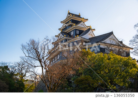 岡山市 青空にそびえる漆黒の「岡山城（烏城）」天守閣 136055350