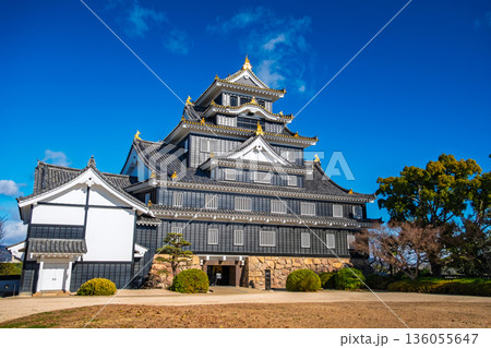 岡山市 青空の下にそびえる岡山城(烏城)天守閣 岡山市 青空の下にそびえる岡山城(烏城)天守閣 136055647