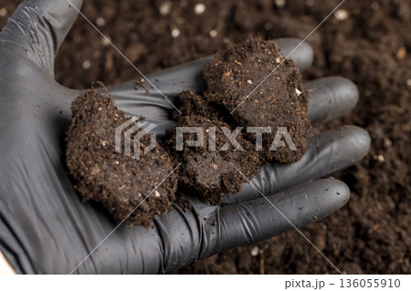 hold black fertile soil mixed with peat and chernozem to improve crop quality, part of the land that is used for seedlings and for mixing with less fertile land for agriculture 136055910