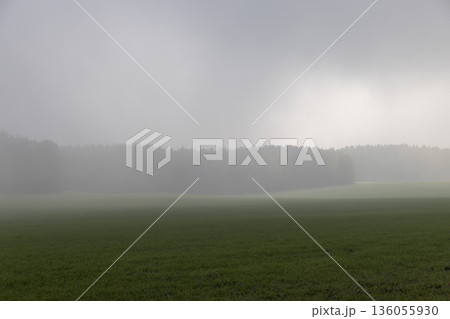 autumn gray sky covered with clouds and thick fog that slowly dissipates from sunlight, dreary gray sky and thick fog that obscures the view 136055930