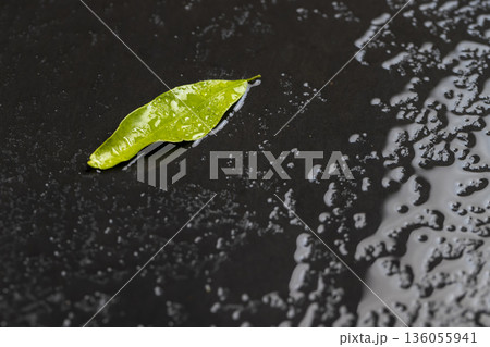 wet black uneven and black slate for serving and green mandarin leaf covered with lots of water drops mandarin leaf and kitchen board made of black embossed slate wet black uneven and black slate for serving and green mandarin leaf covered with lots of water drops mandarin leaf and kitchen board made of black embossed slate 136055941