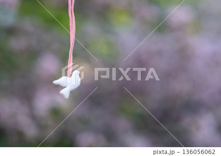 pendant in the form of a white dove on a pink ribbon against the background of cherry blossoms 136056062