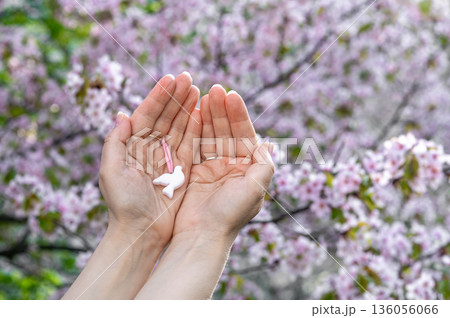 pendant in the form of a white dove on a pink ribbon in women's palms against the background of cherry blossoms. Peace sign 136056066