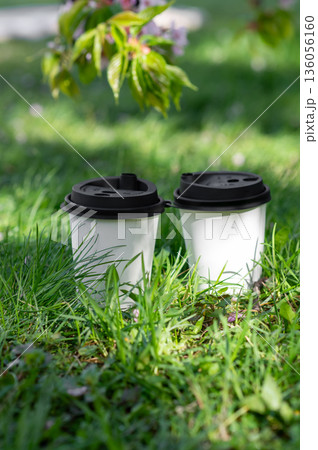 two paper cups of coffee on green grass with a branch of blossoming sakura, coffee break 136056160