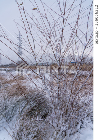 雪景色の小牧山城遠望 136056212