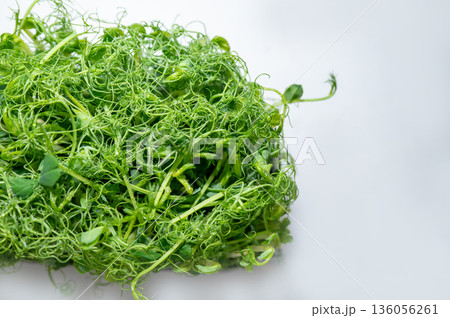 Fresh pea microgreens with dewdrops on delicate tendrils, placed on a light background. A vibrant and healthy ingredient rich in vitamins for salads, smoothies, and gourmet dishes 136056261