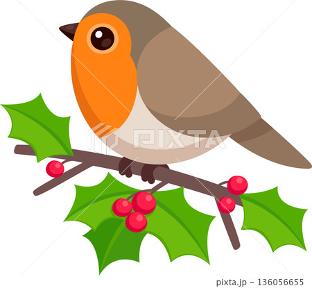 Cute cartoon robin on holly branch illustration Cute cartoon robin on holly branch illustration 136056655