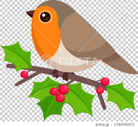 Cute cartoon robin on holly branch illustration Cute cartoon robin on holly branch illustration 136056655