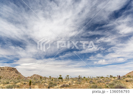 Fantastic landscapes of Joshua Tree Park Fantastic landscapes of Joshua Tree Park 136056793