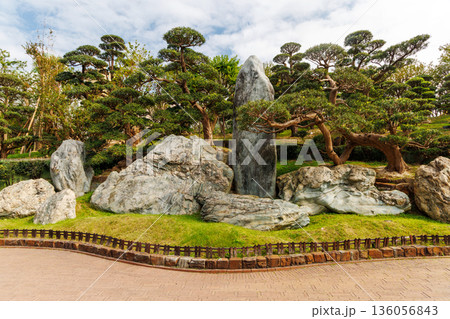 Japanese garden in Hong Kong Japanese garden in Hong Kong 136056843