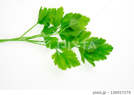 Parsley greens against white background, cropped plan top view, isolated on white background Parsley greens against white background, cropped plan top view, isolated on white background 136057279
