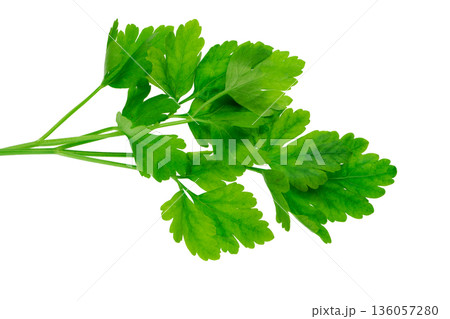 Parsley greens against white background, cropped plan top view, isolated on white background 136057280