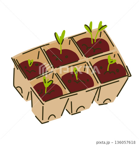 Green seedlings in a biodegradable container with soil for spring planting and gardening 136057618