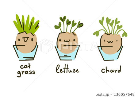 Eco-friendly seedlings in eggshells with funny faces, with soil in individual cups. Microgreens on the windowsill, Easter decorations. Eco-friendly seedlings in eggshells with funny faces, with soil in individual cups. Microgreens on the windowsill, Easter decorations. 136057649