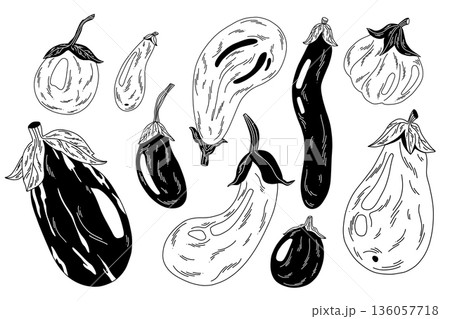a collection of contour eggplants with white decorative lines 136057718